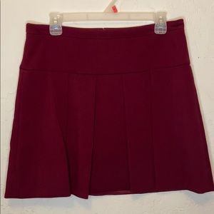 Pleated Skirt